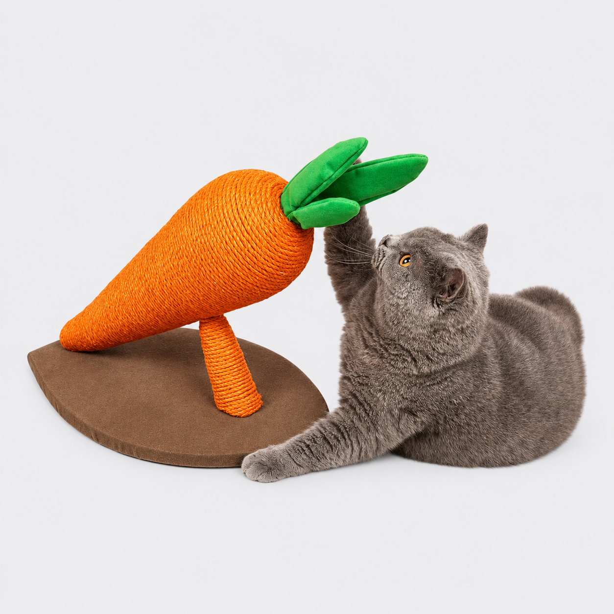 Fofos carrot cat scratcher - l