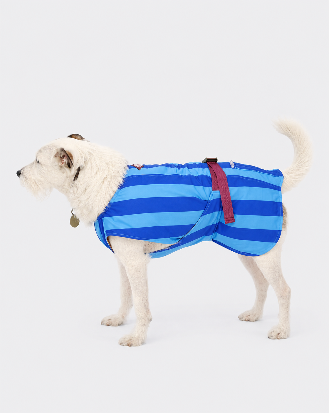 Cooling Dog Vest Sea View