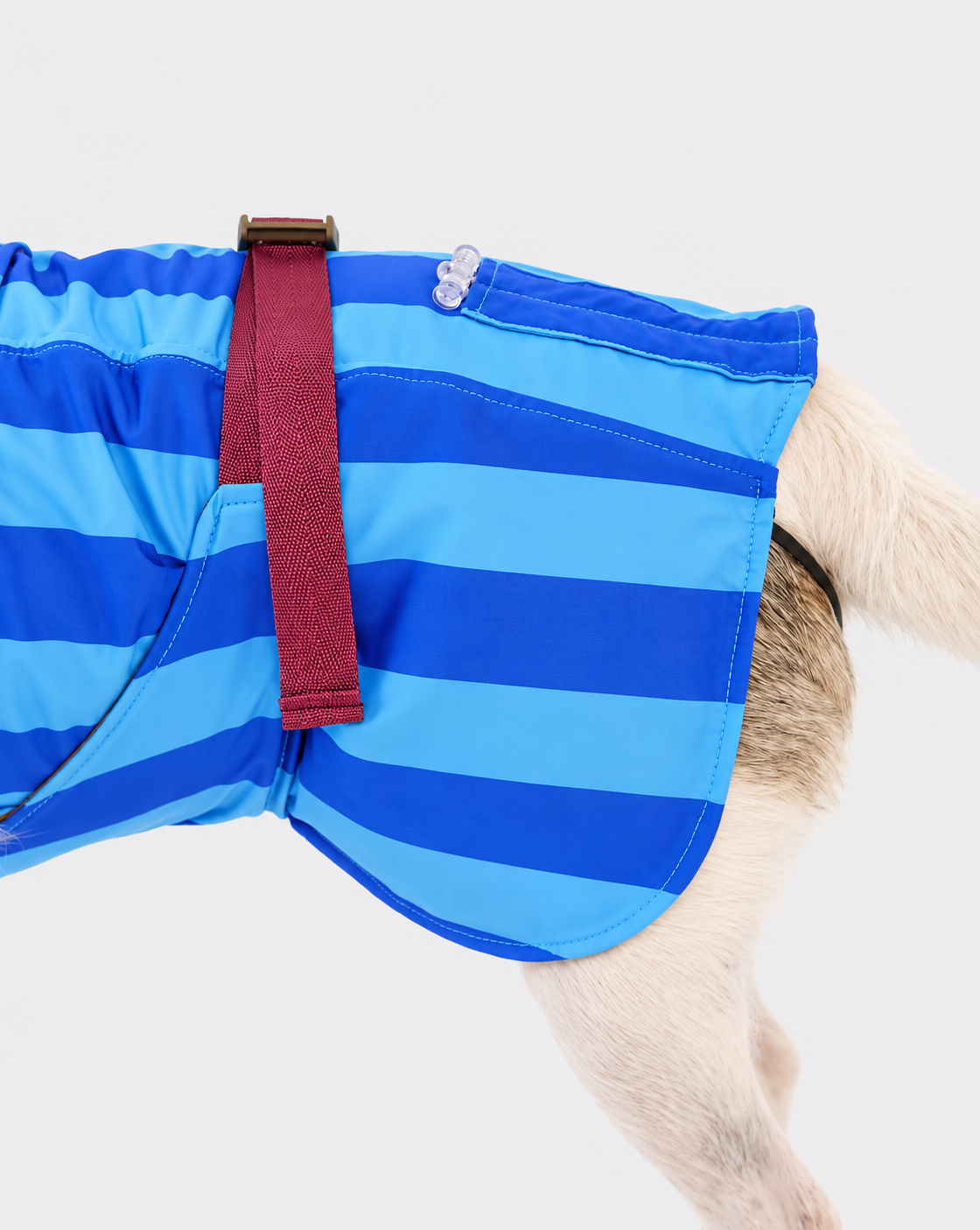 Cooling Dog Vest Sea View