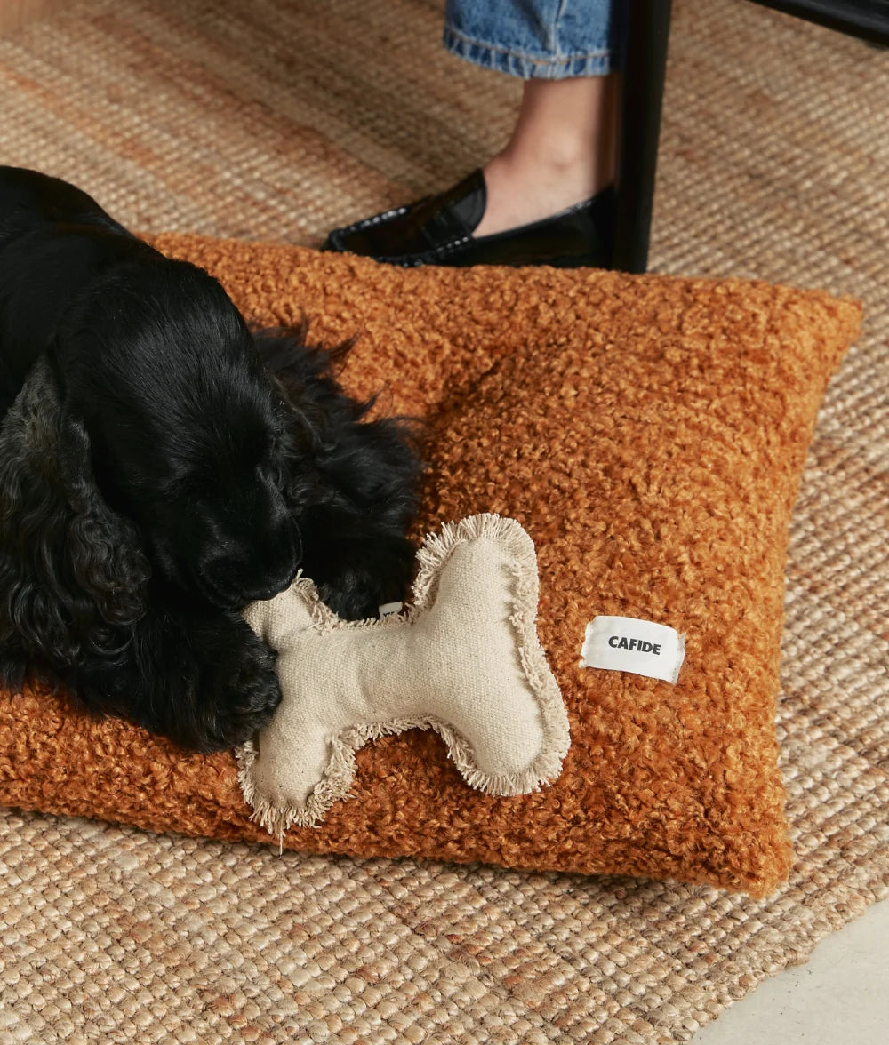 White Bone Dog Toy, Fleky