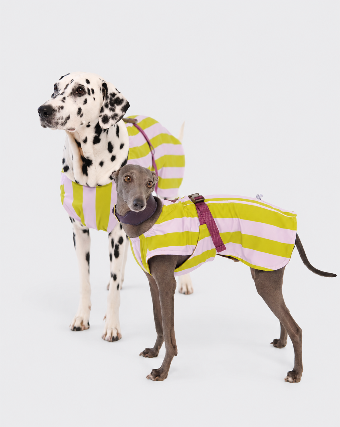 Cooling Dog Vest