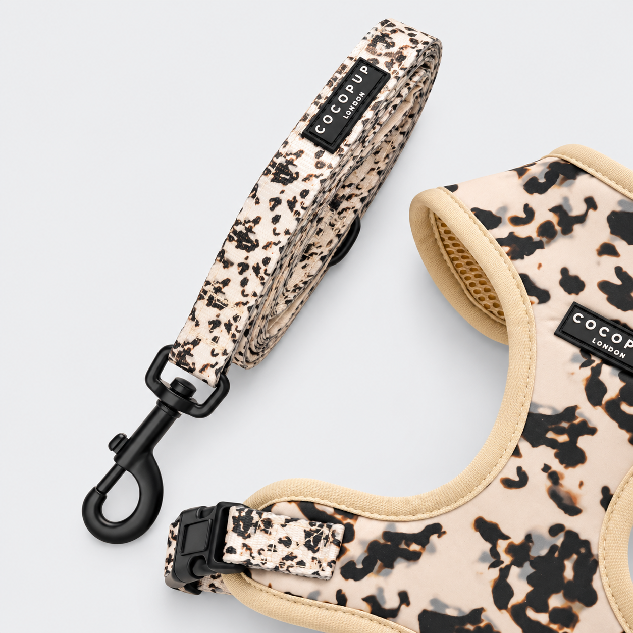 Ivory Tort Lead