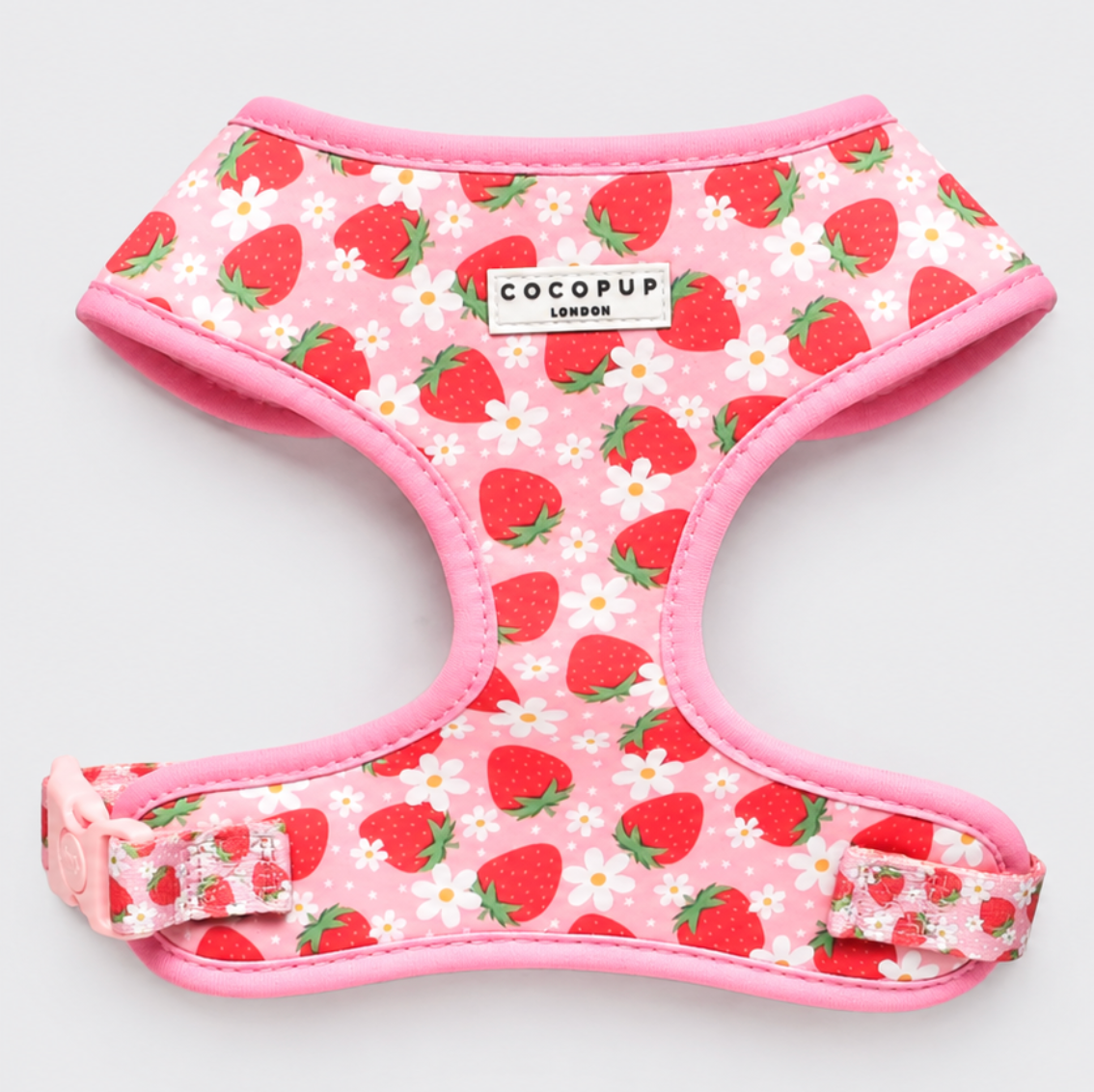 Pupberry Fields Harness