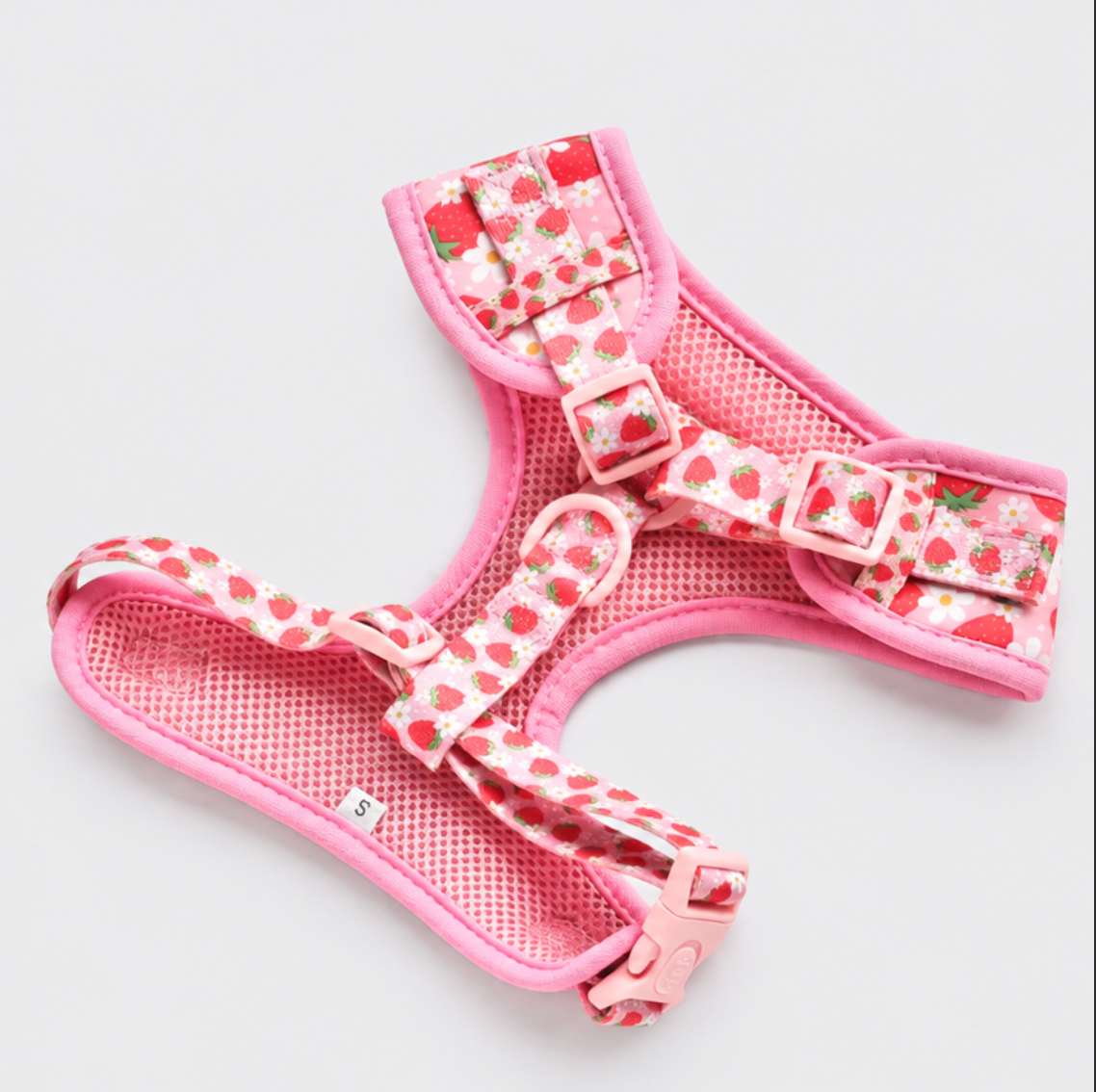 Pupberry Fields Harness