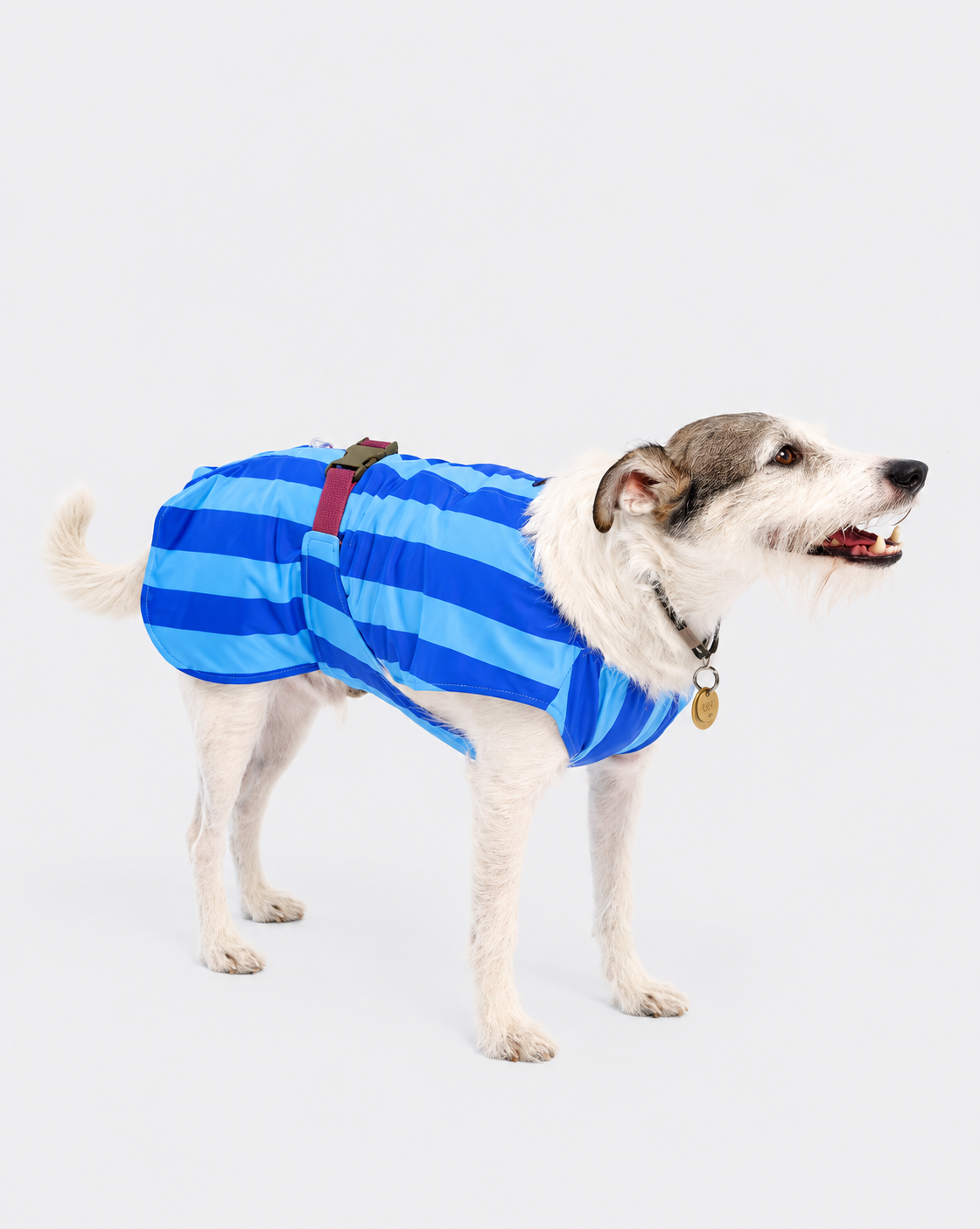 Cooling Dog Vest Sea View