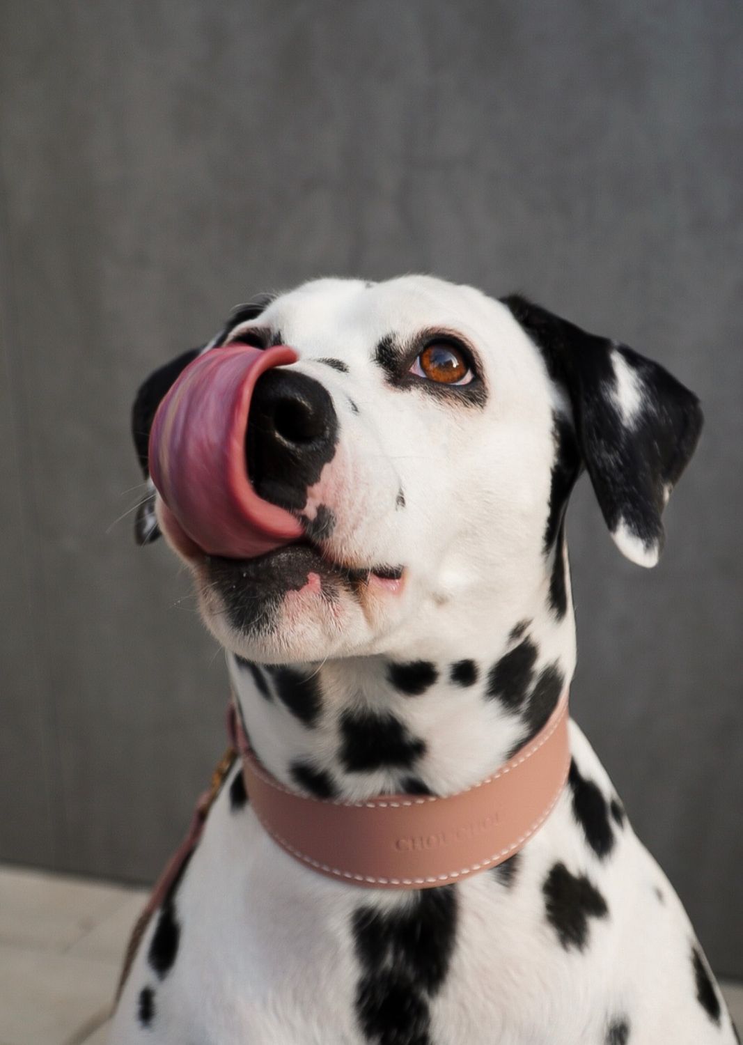 Leather Dog Collar – Almond Collection Pale Pink