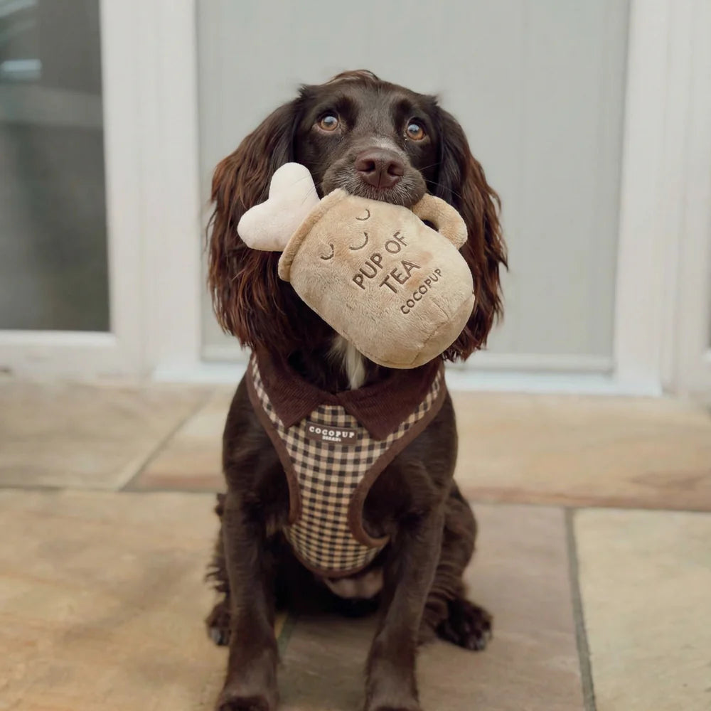 Pup of Tea Dog Toy