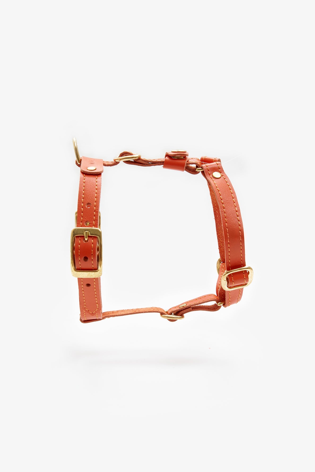 Leather Dog Harness – Classy Collection Orange
