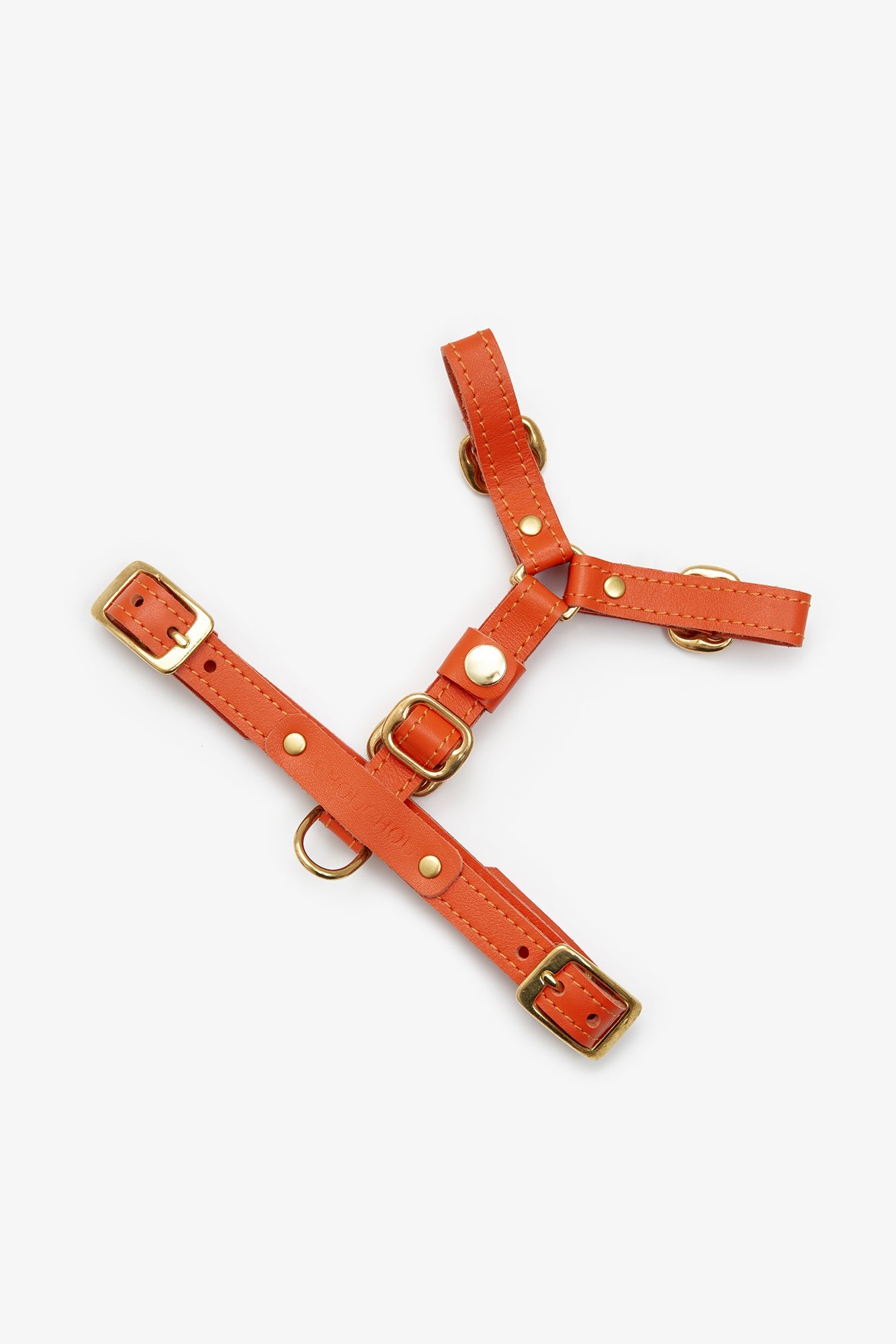 Leather Dog Harness – Classy Collection Orange