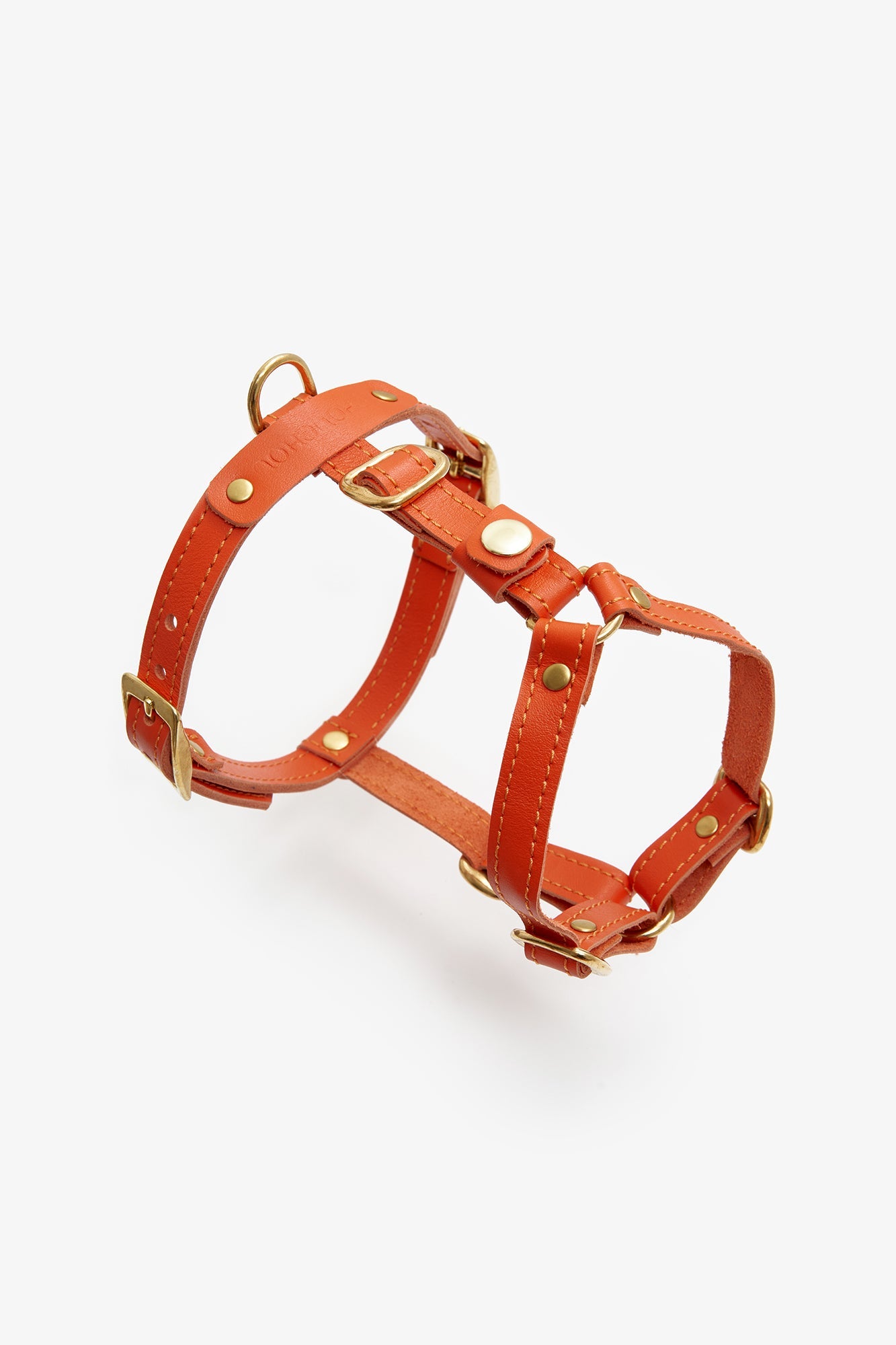 Leather Dog Harness – Classy Collection Orange