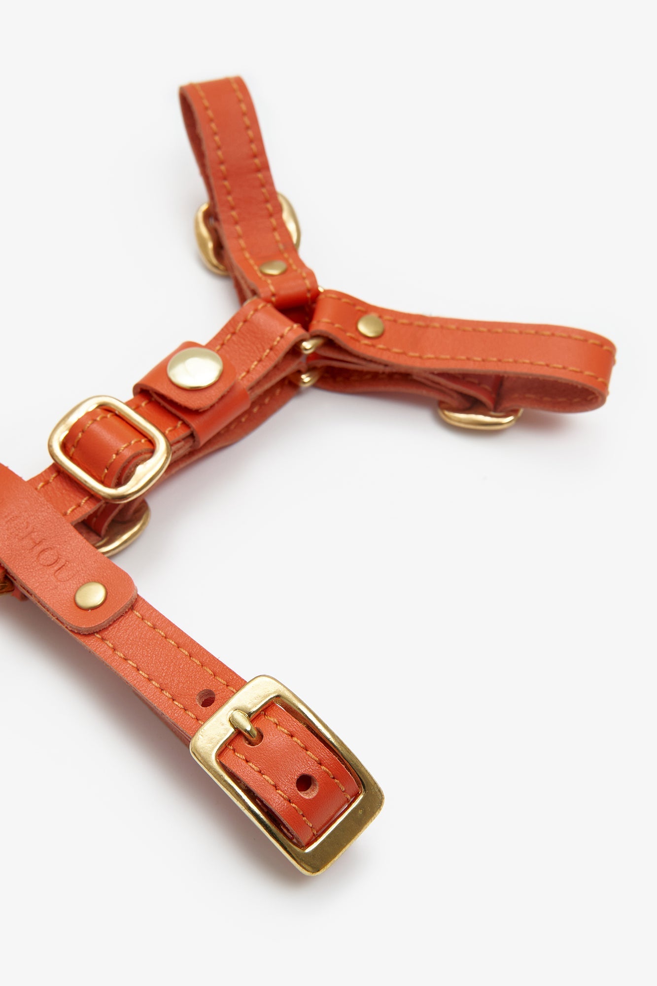 Leather Dog Harness – Classy Collection Orange