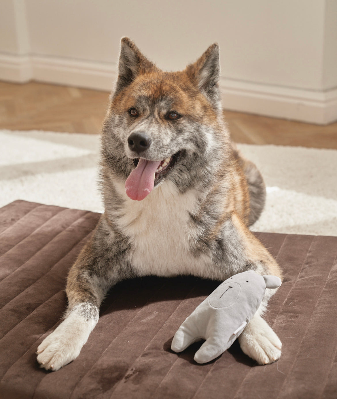 Soft Toy for Dogs "Forest Collection" Grey